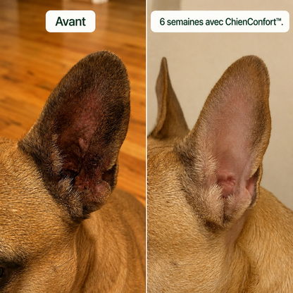 ChienConfort ™